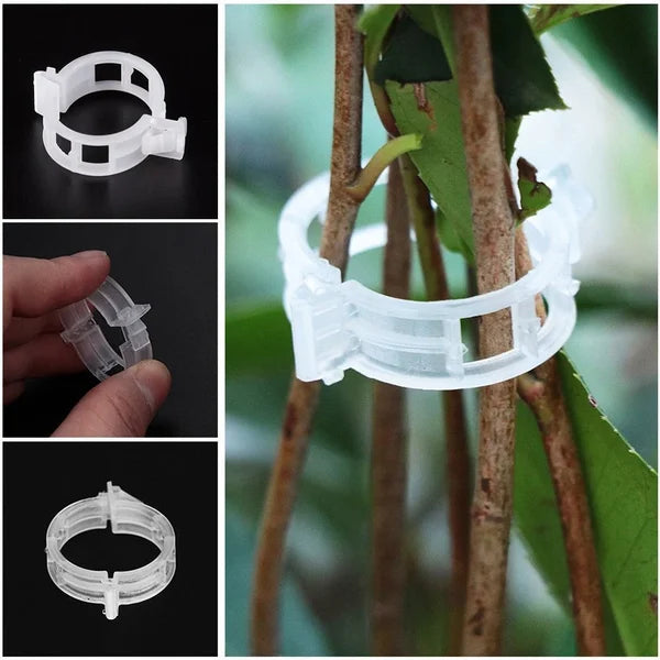 🌿 50% RABATT! 🍅 Pflanzenclips für Rankpflanzen – Tomatenhalter & Pflanzenbinder aus Kunststoff, Wiederverwendbar & Ideal Für Halt An Spalieren Oder Stäben 🌻