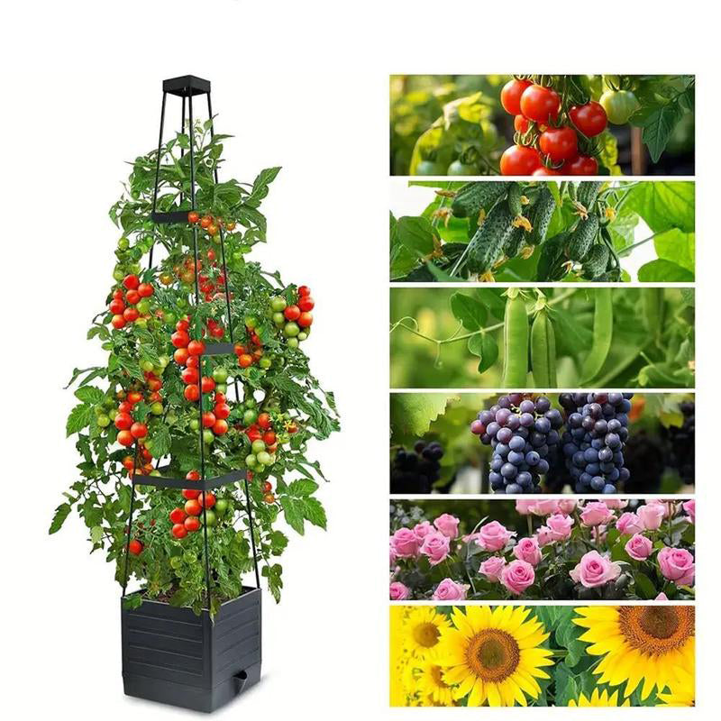 ⏳Limitiertes 50 % Rabatt⏰Selbstbewässerndes Tomaten-Pflanzset mit Kletterpflanzenhalter🍅