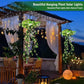 ☀️ 【Limitiertes Angebot – 50% Rabatt】 – Solar-Efeu-Lichterkette mit künstlichen Blättern – wasserdicht, 8 Beleuchtungsmodi & flexibel – perfekt für Garten, Balkon & Wanddekoration 🌿💡