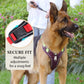 🐕 50% RABATT! ✨ Hundegeschirr ohne Zugkraft mit Leine und LED-Halsband – Vorderer D-Ring, Reflektierend, Verstellbar 🦮