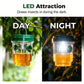 🔥 SOMMER DEAL: -50% 🐝 Solarbetriebene Wespenfalle 🌙 automatisch wirksam bei Tag & Nacht ☀️✨