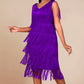📢📢Letzter Tag – 50 % Rabatt!! ⏰Ärmelloses Flapper-Kleid für Damen mit V-Ausschnitt und Fransen✨