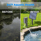 ✨Sommer-Sonderangebot 50% RABATT!🐟Solar-Teichbelüfter mit Luftpumpe